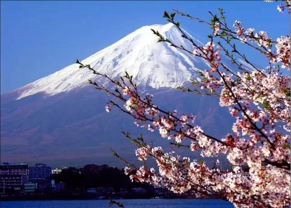 护照过期,换发护照后,旧护照上的多次签证怎么