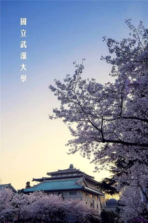 武汉大学,一座被誉为"中国最美的大学",因为这里有最美的樱花.