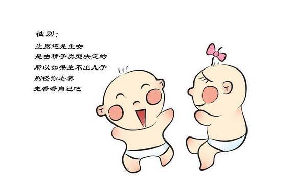 a81m378812714616619.jpeg