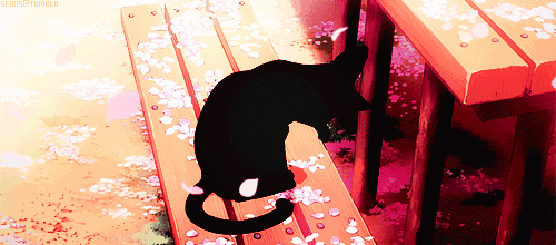 你现在吃的食物,根本配不上你的气质