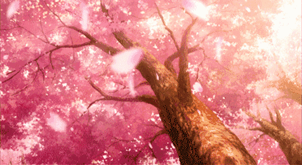 【微信活动】邂逅樱花飞舞浪漫时