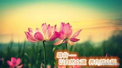 在马王堆出土文物中发现了书简《却谷食气篇,讲的是不食五谷杂粮,食