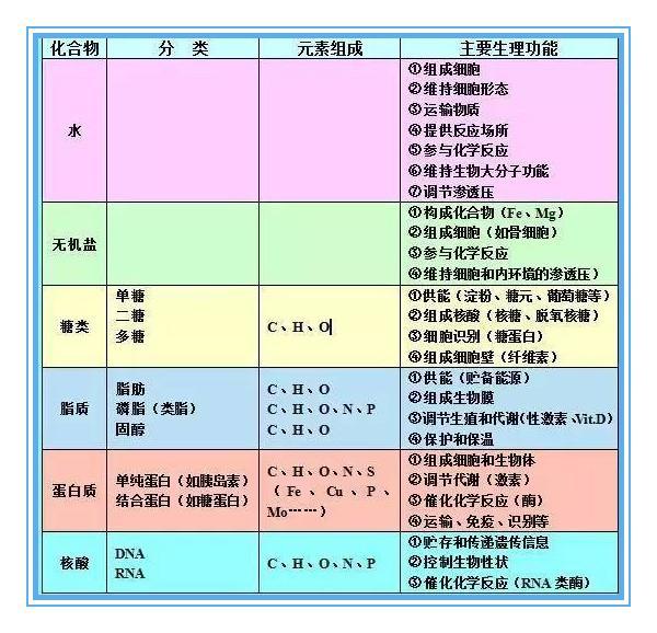 高中生物难吗