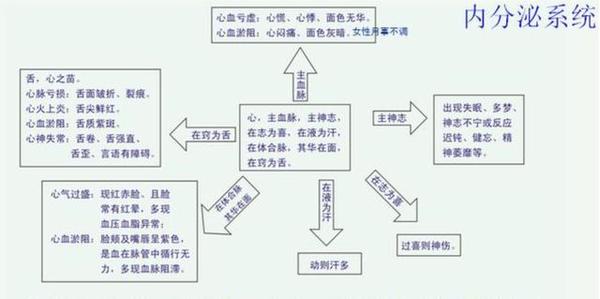 中医养生:心肝脾肺肾在身体里的作用你知道多少?