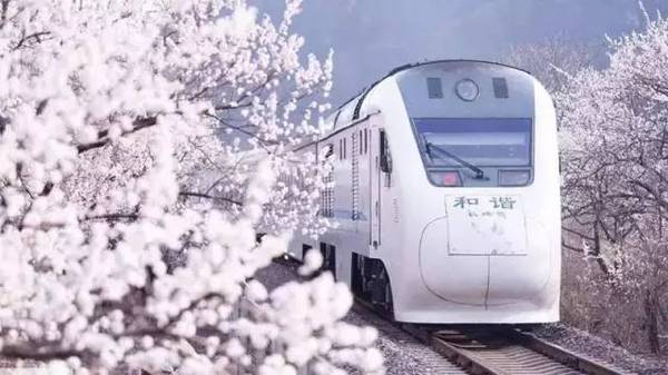 a1wsri8534414546542.jpeg