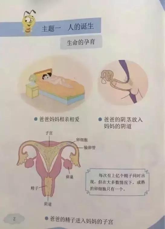 并且,读本不仅仅局限于成年男性对女孩的性侵犯,还有成年男性对男孩