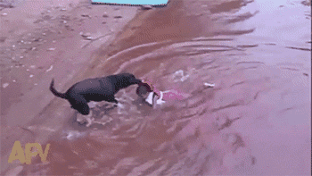 这个卖家好贴心,你那里有配套会干家务的男人买吗?