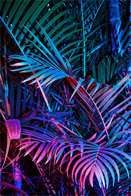 435_652 竖版 竖屏