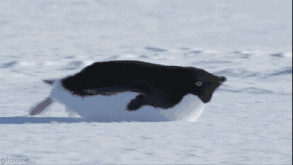 颁奖