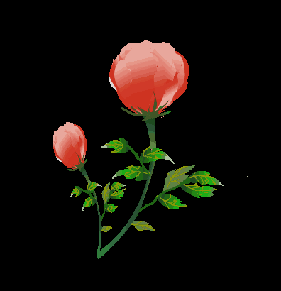 女神节,四海八荒,十里桃花不如你