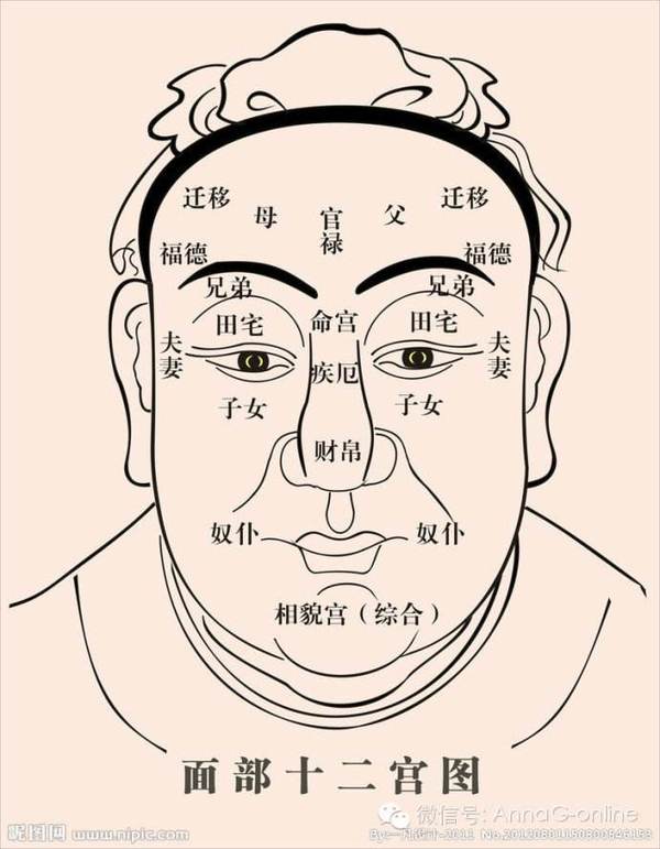 咱们可从双眼的形状, 皮肉厚薄,看出一个人的性情的命运.