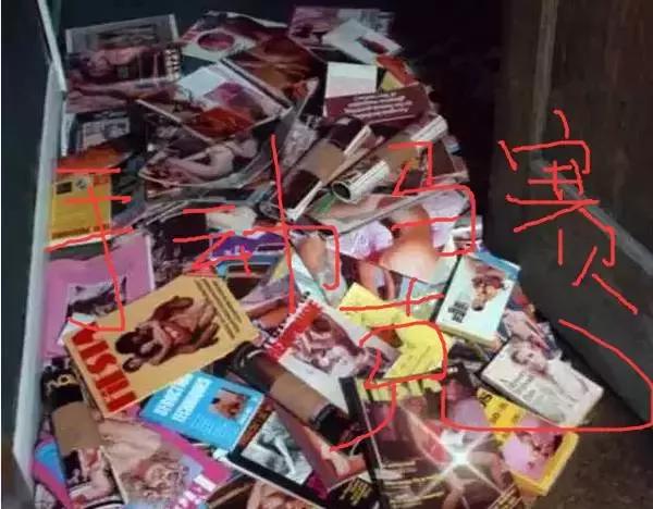 宅男被6吨小黄书压死半年无人知?该买个娃娃了!