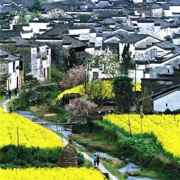 惊艳 青海湖,"青色的海",湖畔山清水秀,景色绮丽.