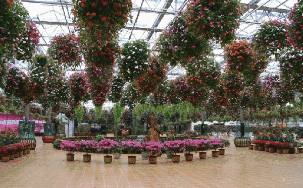 恬庄古街榜眼府,杨氏孝坊,碑苑),永联江南农耕文化园,东渡苑景区,香山