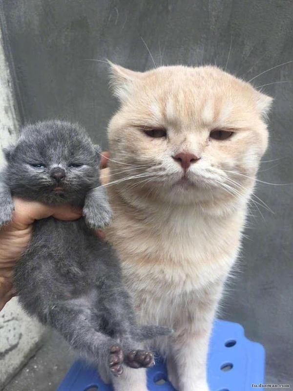 爆笑囧图:看这美女陶俑,你说我还要穿越回去不?