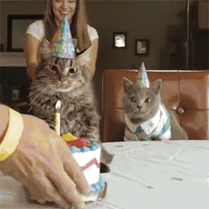 快救我出去啊蠢货!