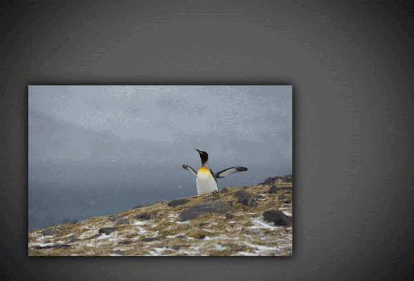 超实用自拍修图app大集合,爆发安利第一波