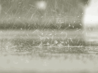 今天大弄口也可能因为雨水而发生车祸. 接下去的天气会怎样呢?