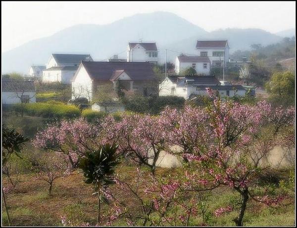 行摄马鞍山之旅——当涂桃花村