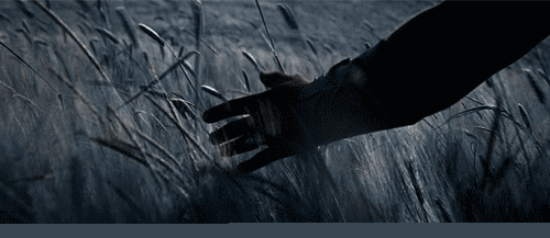 这朵可以感知气候变化的蒲公英,比天气预报强多了