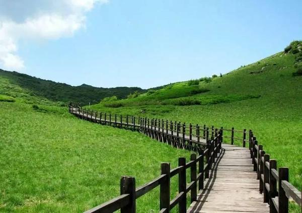 留坝紫柏山栈道