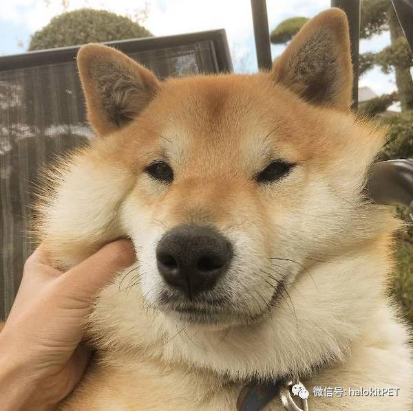 "有点双下巴."