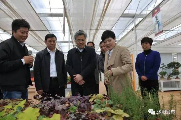 宿迁市委常委,宣传部长赵正兰,沭阳县委书记胡建军等市县领导陪同调研