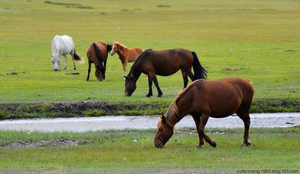 什么马南山成语_关于南山的成语有哪些(3)
