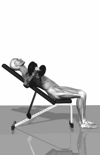 332_513 竖版 竖屏