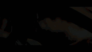 ——那之后或许是一段平静的人生,又 或许会有崭新的故事