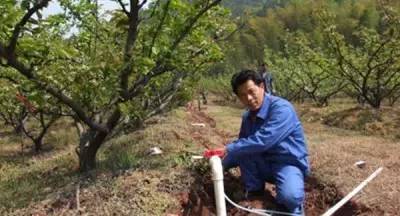 黄土高原山旱地果园自压式简易滴灌肥水技术