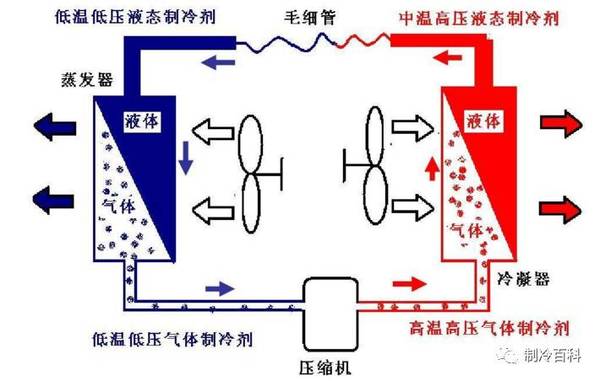 静态水柱是什么原理_鬼灭之刃水柱图片