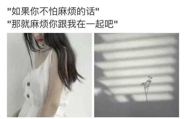 a1nof31334016901210.jpg