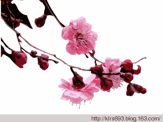 江山有声文学 | 春暖花开,我等你来