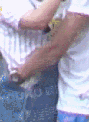 壁纸 动物 鱼 鱼类 294_403 竖版 竖屏 手机 gif 动态图 动图