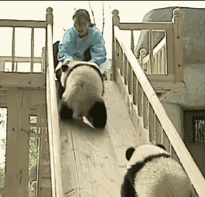 △闪开!刹不住了! 熊生如戏全靠演技 ▼