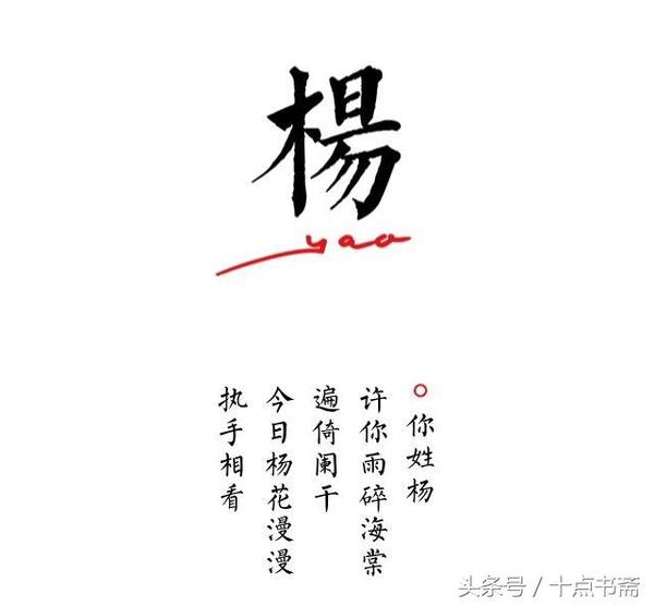 你姓杨,许你雨碎海棠,遍倚阑干,今日杨花漫漫,执手相看