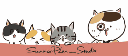 参与方式: 2,关注