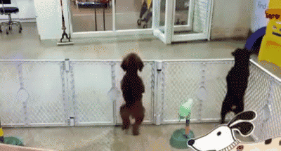 搞笑gif:新技能get√,男生们你们敢效仿吗?-笑话频道