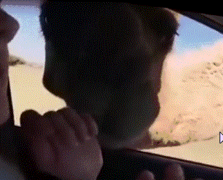 323_261 gif 动态图 动图