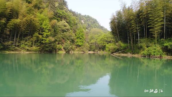 航拍枞阳三公山:茶山竹海是绿浪