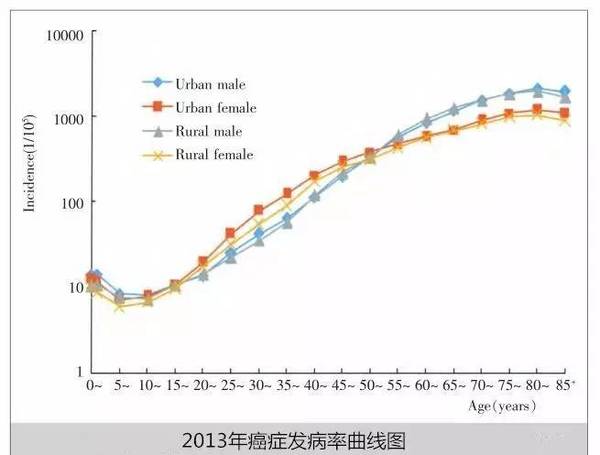 世界人口平均升高_世界人口的平均寿命(3)