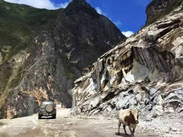 丙察察是什么 a77j3l4191616352619.jpeg