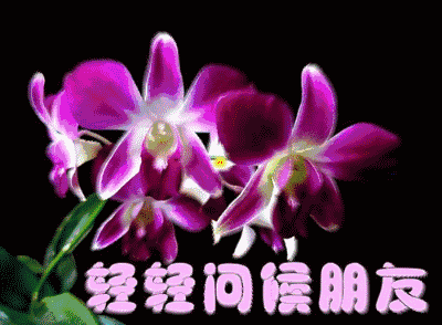 四月桃花别样红 送给我的朋友 祝你天天心情好 傍沼人窥鉴,惊鱼水溅