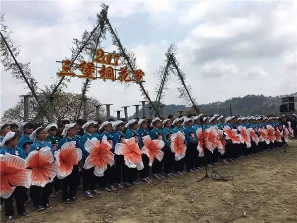 【桐花节后续】赏10万亩油桐花海,寻蓝衣壮民俗风情……今天他们去