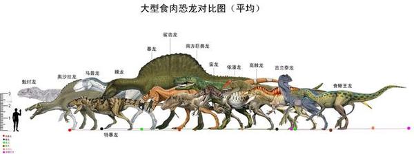 恐龙书籍里,但直到如今才有足够的棘龙科资料可以正确完整地描述棘龙