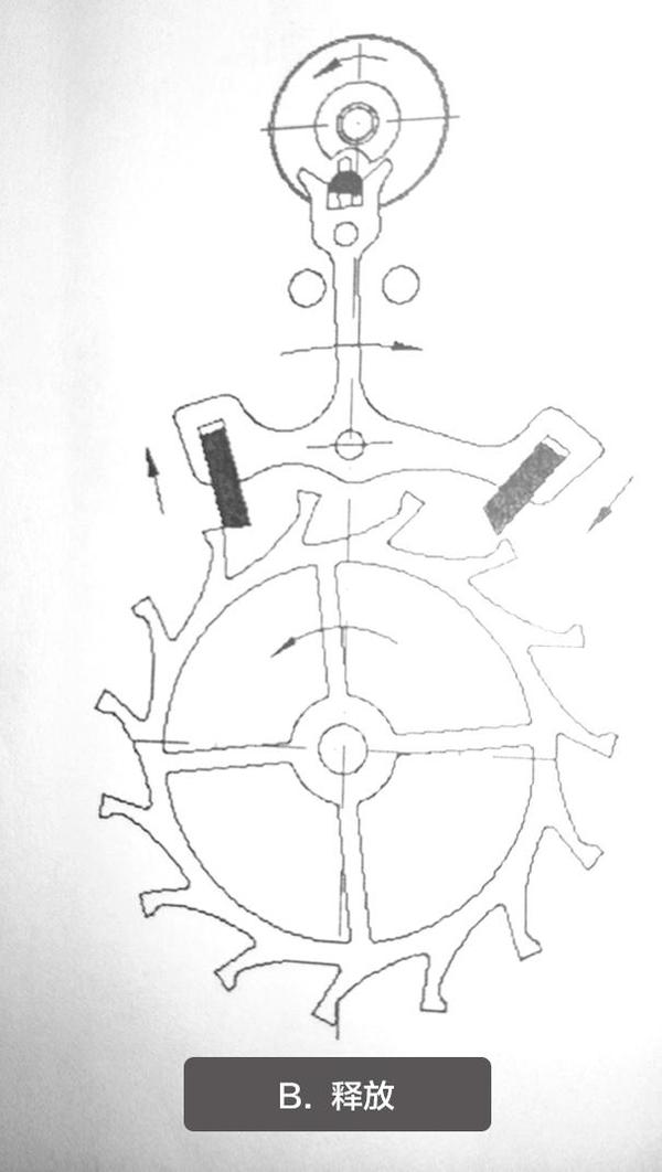 撞击喇叭口内的凹槽,使擒纵叉保持精确又规律的运动(圆盘钉装在摆轮