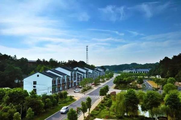 长沙县镇经济总量第一的镇_长沙县黄兴镇规划图(2)
