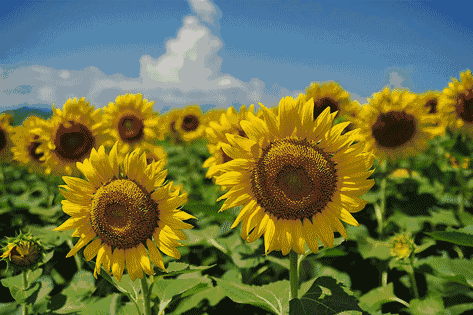 国际惯例福利送票活动是肯定会有的 等着小梅下次带来实景剧透图哦