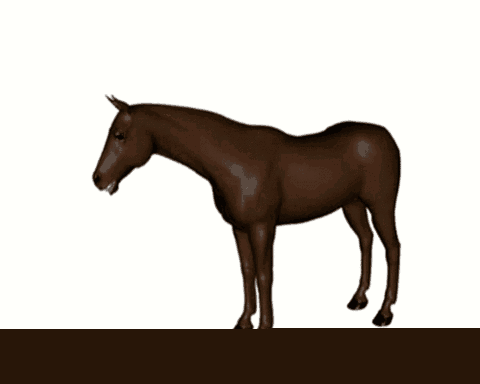 全平台动图首发 10000张2b,恶搞,傻缺,内涵,美女,萌宠动态图一次看个